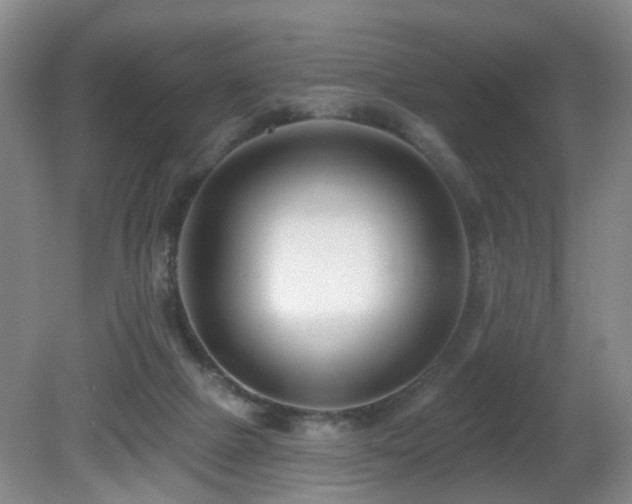 X0000081580073200701151254