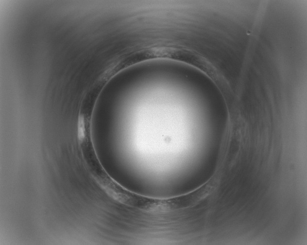 X0000081580075200701151254