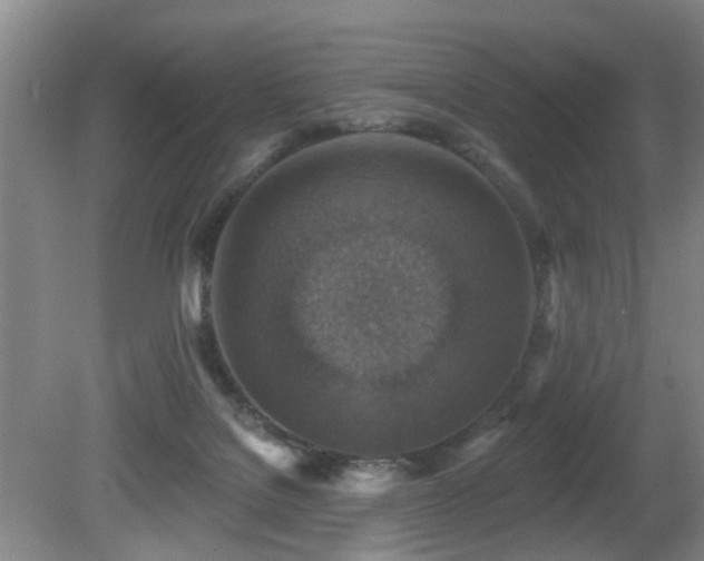 X0000081580076200701151254