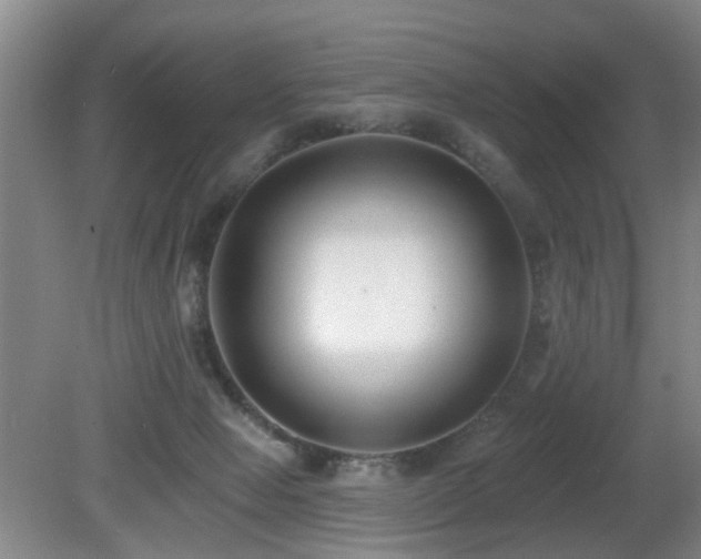 X0000081580077200701151254