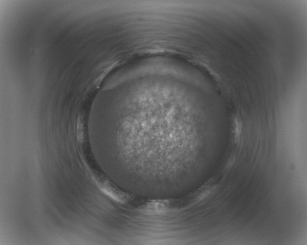 X0000081580080200701151254