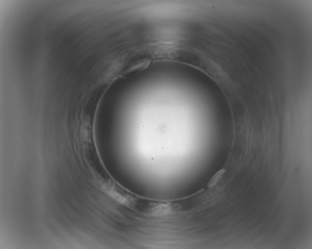 X0000081580083200701151254