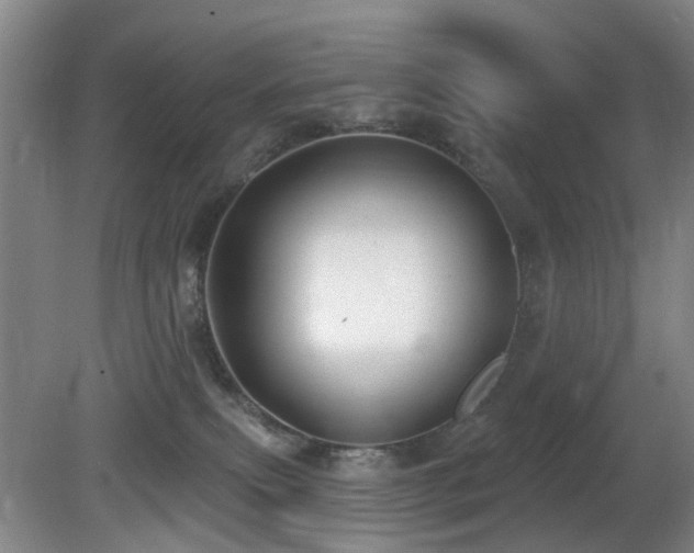 X0000081580087200701151254