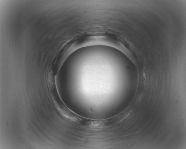 X0000081580088200701151254