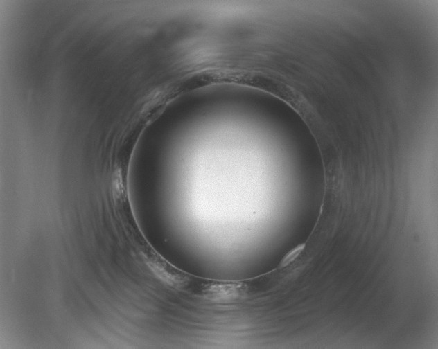 X0000081580089200701151254