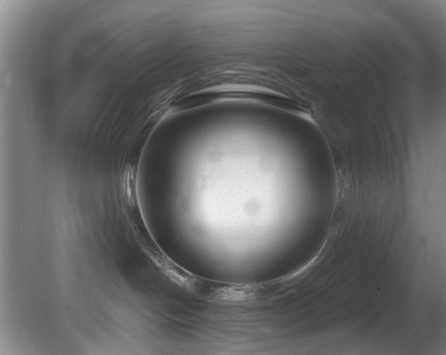 X0000081580094200701151254