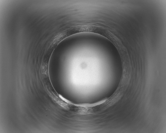 X0000081580096200701151254