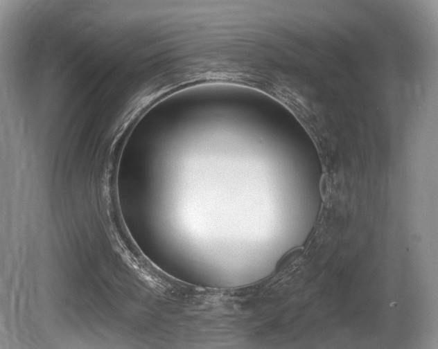 X0000081580098200701151253