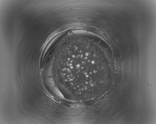 X0000081580099200701151253