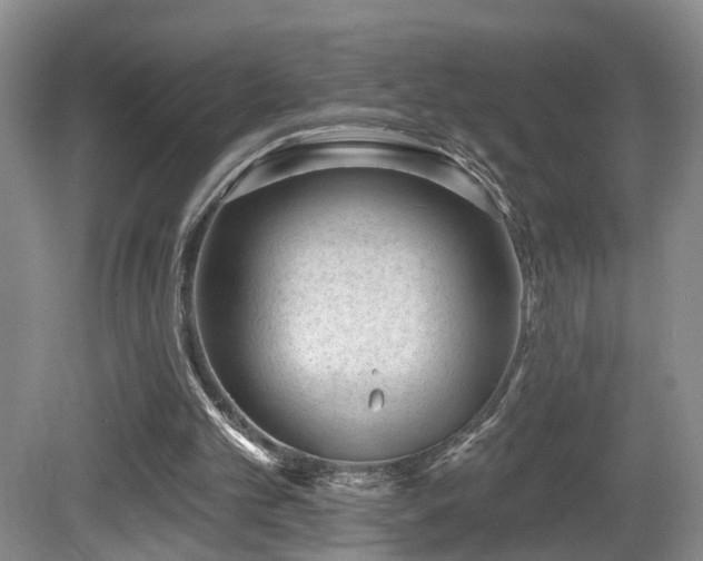 X0000081580101200701151253