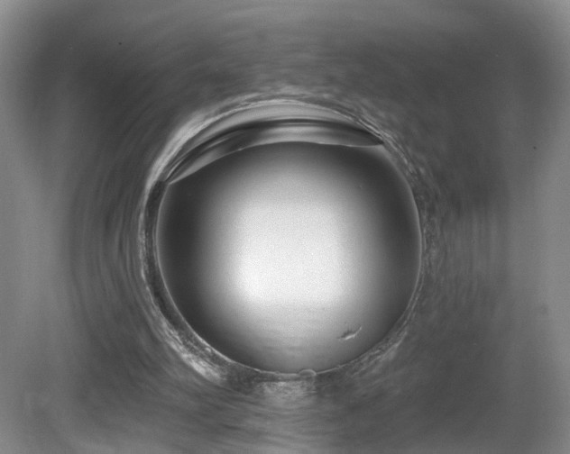 X0000081580102200701151253