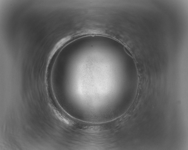 X0000081580104200701151253