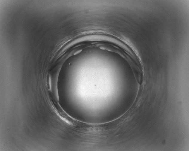 X0000081580105200701151253