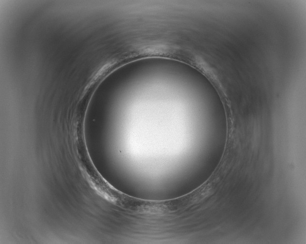 X0000081580106200701151253