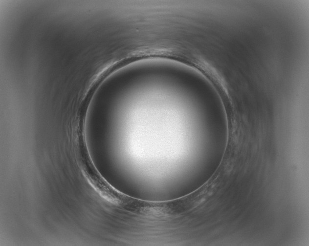 X0000081580107200701151253