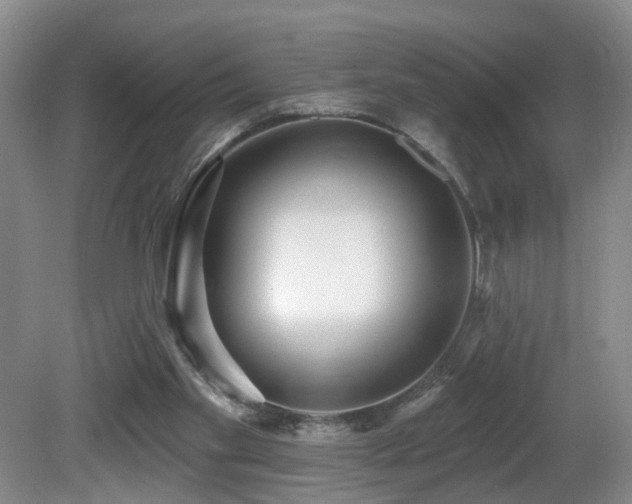 X0000081580109200701151253