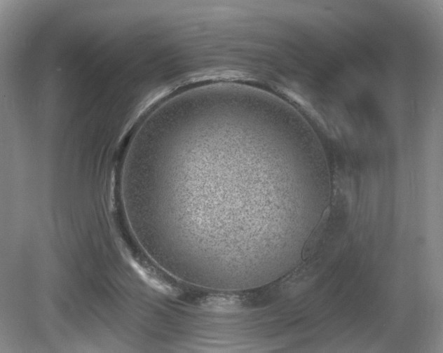 X0000081580110200701151253