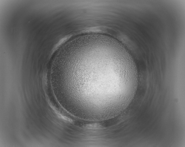 X0000081580112200701151253