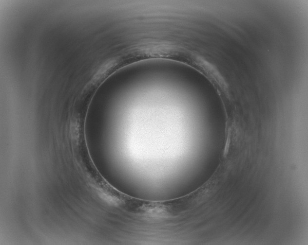 X0000081580113200701151253