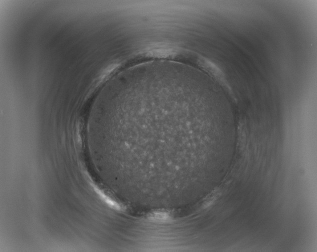 X0000081580114200701151253