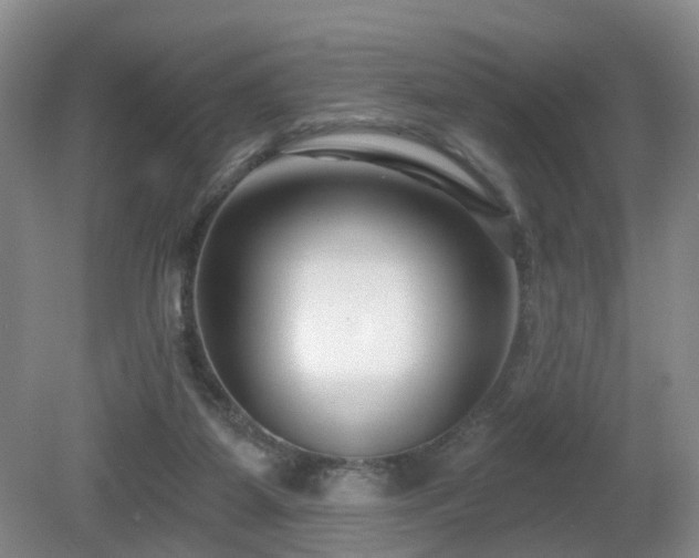 X0000081580115200701151253