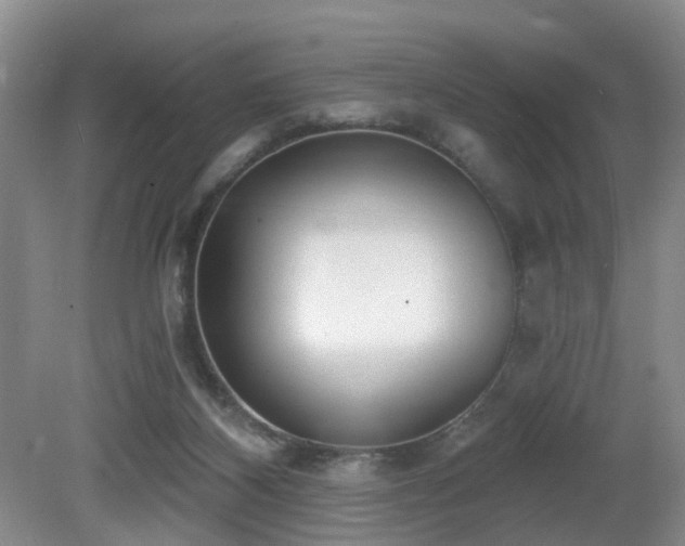 X0000081580116200701151253