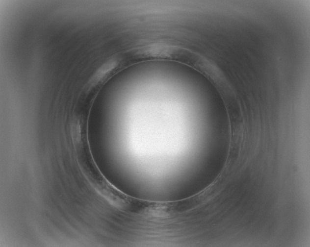 X0000081580120200701151253