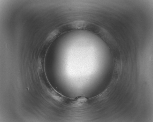 X0000081580128200701151253