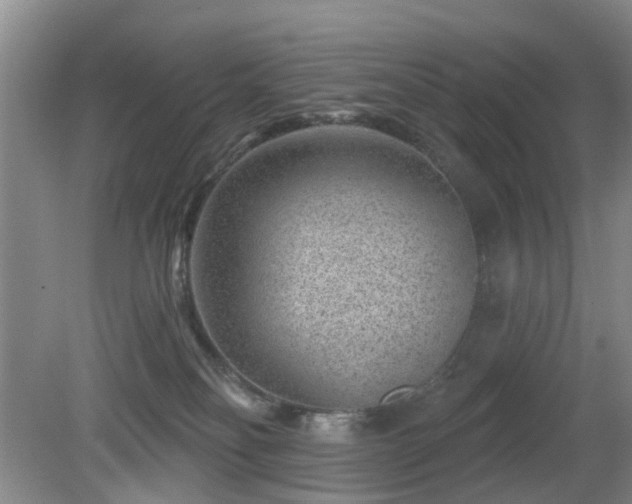 X0000081580134200701151253