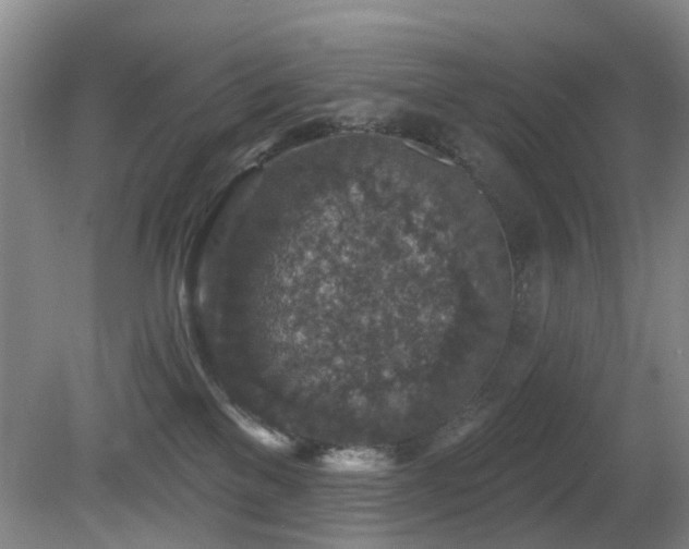 X0000081580137200701151253