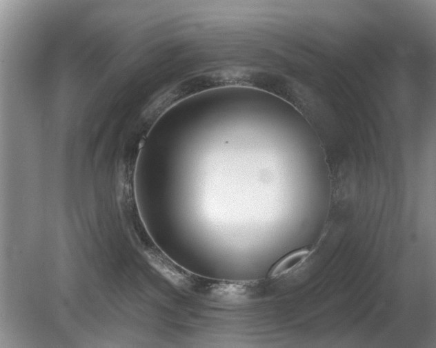 X0000081580140200701151253