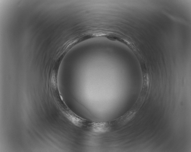 X0000081580143200701151253