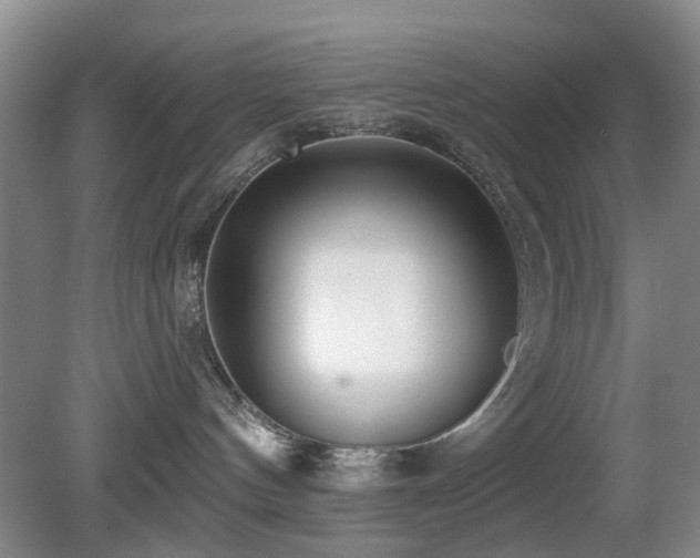 X0000081580144200701151253