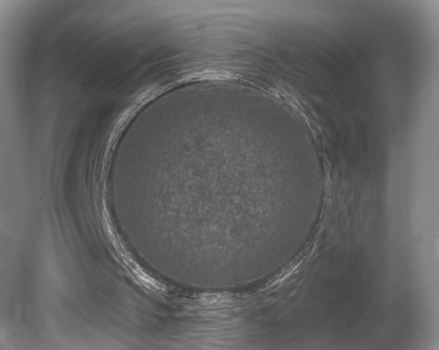 X0000081580145200701151252