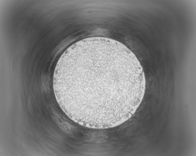 X0000081580146200701151252