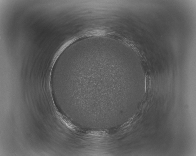 X0000081580147200701151252