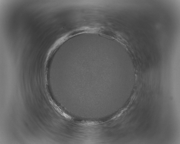 X0000081580149200701151252