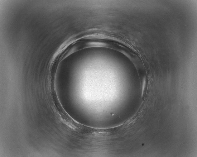 X0000081580150200701151252