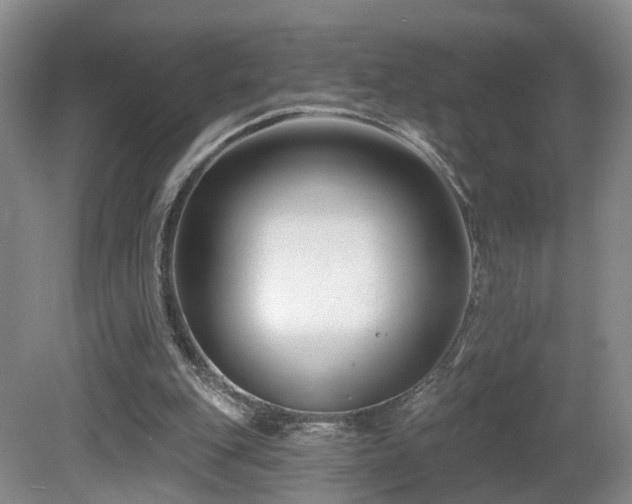 X0000081580151200701151252