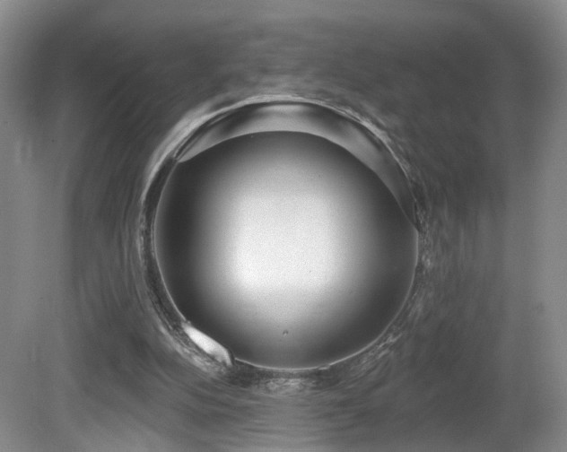 X0000081580152200701151252