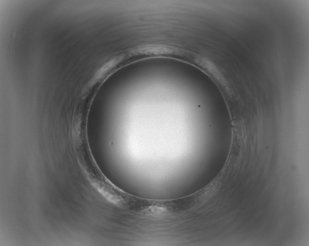 X0000081580159200701151252