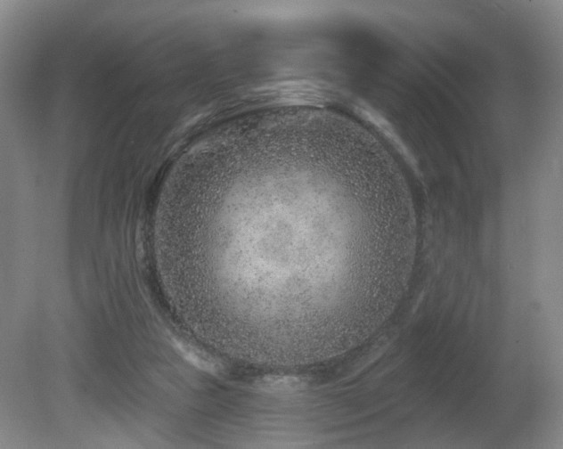 X0000081580161200701151252