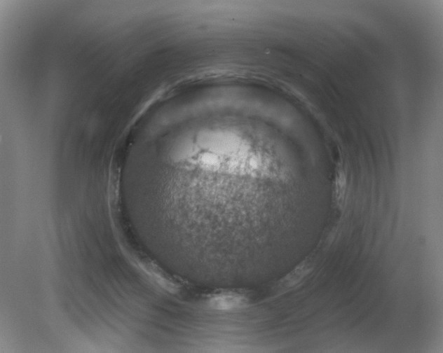 X0000081580168200701151252