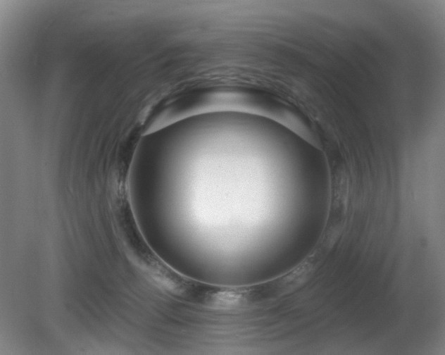 X0000081580176200701151252