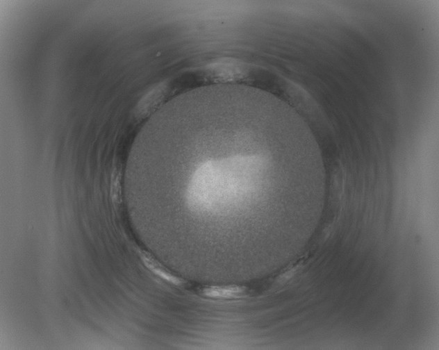 X0000081580177200701151252