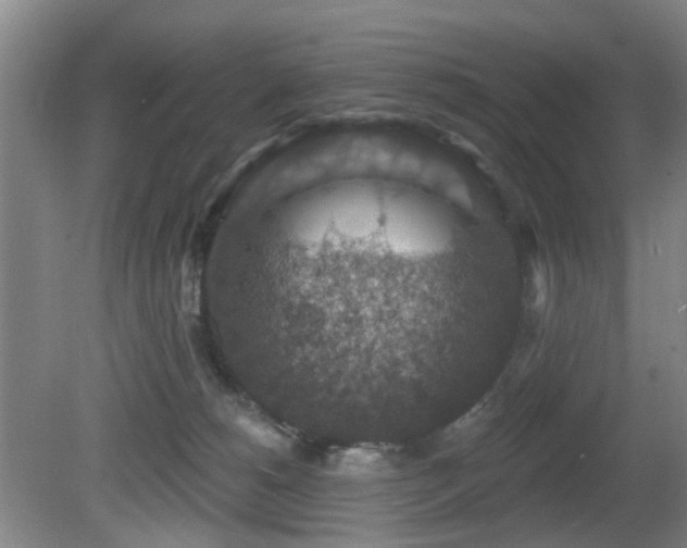 X0000081580180200701151252