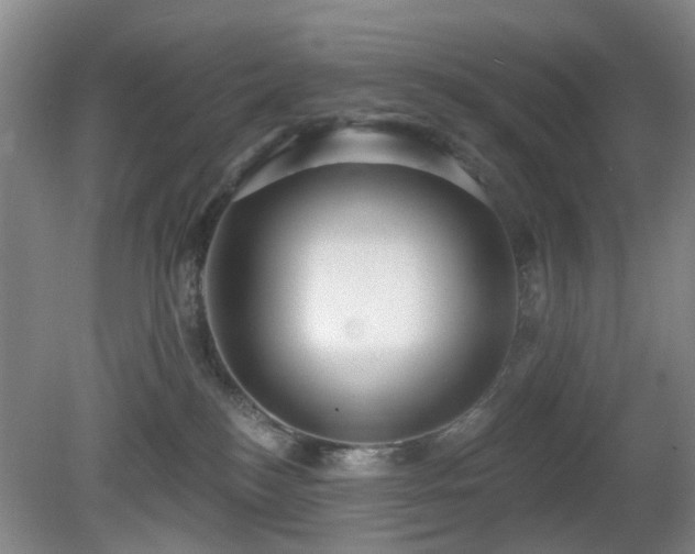 X0000081580184200701151252