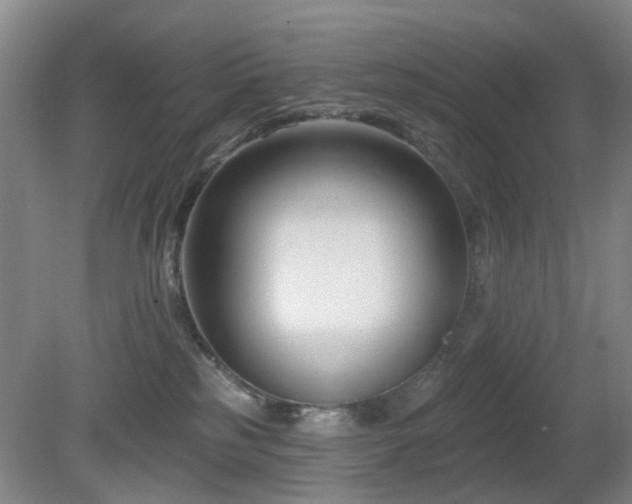 X0000081580185200701151252