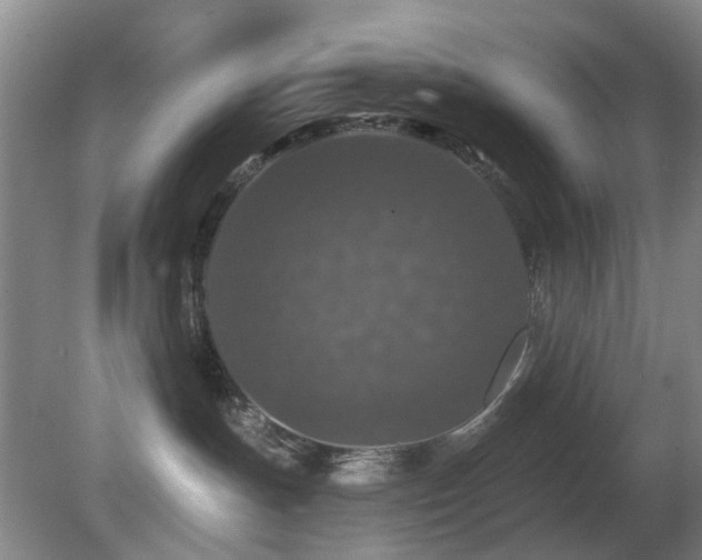 X0000081580191200701151253