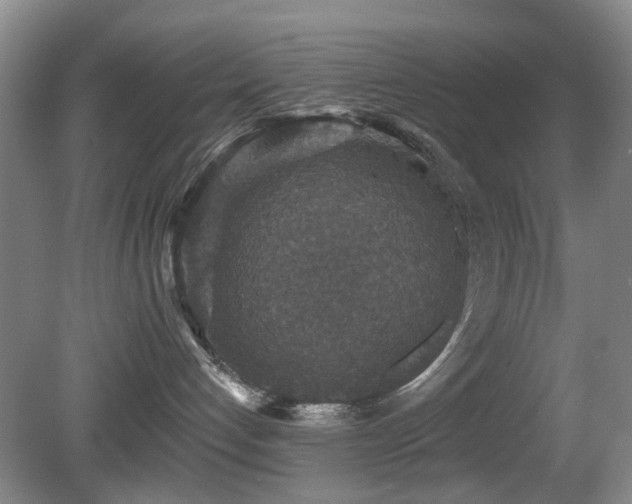 X0000081580192200701151253